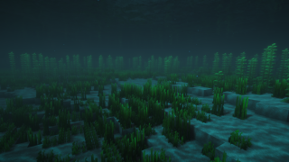 A Posidonia seagrass meadow on the sandy floor of Dwejra Bay in Malta in Minecraft