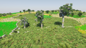 Eucalyptus: young, mature and old