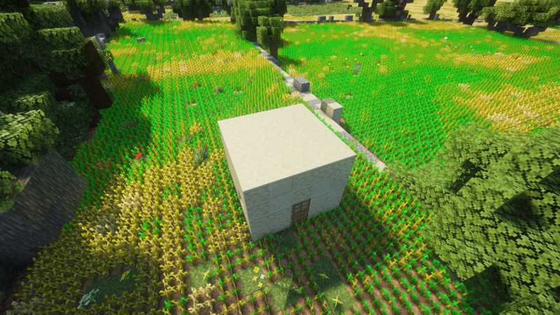 File:Field room, 5 by 5.png